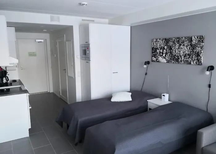 公寓 Jaihki 列维